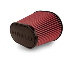 AIRAID Intake Filter
